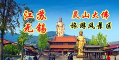 美曹逼江苏无锡灵山大佛旅游风景区